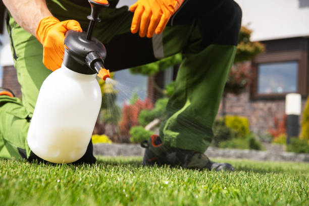 Best Local Pest Control Services  in Ridgway, CO