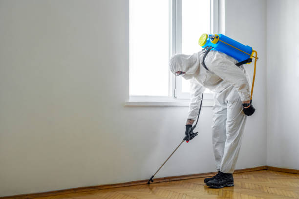 Best Pest Prevention Services  in Ridgway, CO