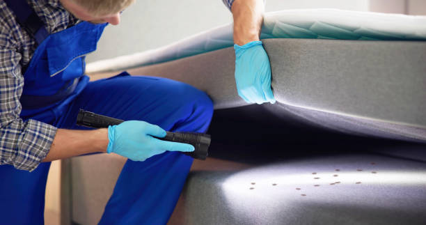 Best Flea Control Services  in Ridgway, CO
