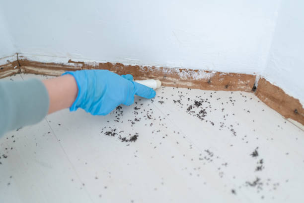 Best Pest Inspection Near Me  in Ridgway, CO